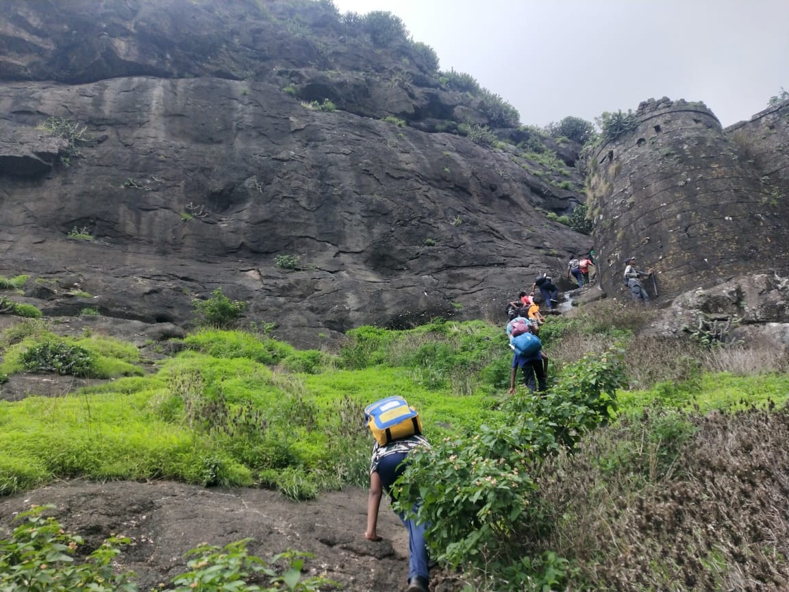 Mulher Trek 